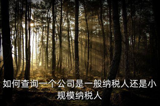 如何查詢(xún)一個(gè)公司是一般納稅人還是小規(guī)模納稅人