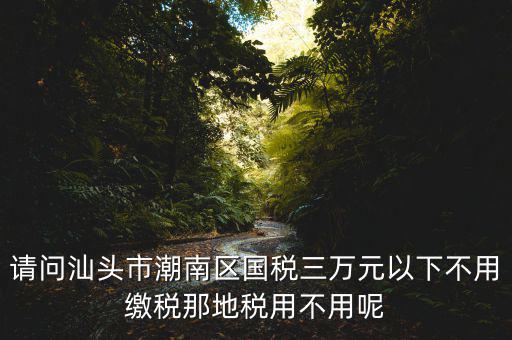 國稅3萬元不到地稅要交什么稅，請問汕頭市潮南區(qū)國稅三萬元以下不用繳稅那地稅用不用呢