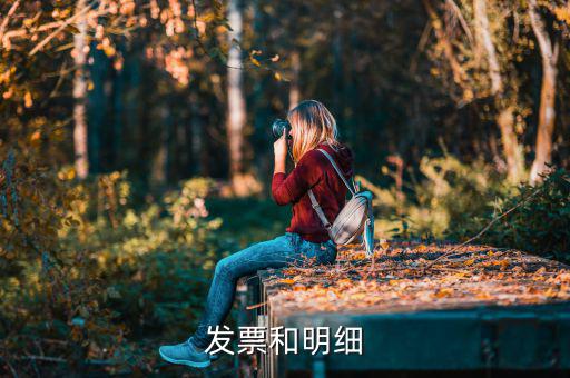 發(fā)票中的明細(xì)是什么意思，發(fā)票的明細(xì)條數(shù)控制在2000條是什么意思