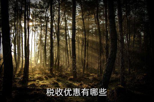 什么是稅收優(yōu)惠，稅收優(yōu)惠有哪些