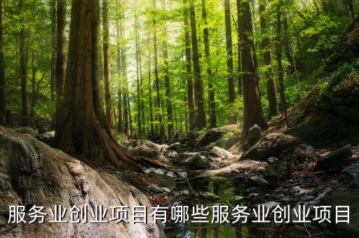 服務(wù)業(yè)有什么進(jìn)項，服務(wù)業(yè)營改增哪些可以抵扣