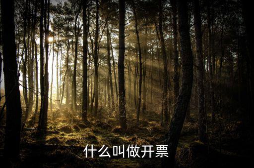 什么叫開票，開票是什么意思