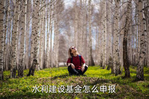 地方水利建設(shè)基金什么時間申報，水利建設(shè)基金怎么申報