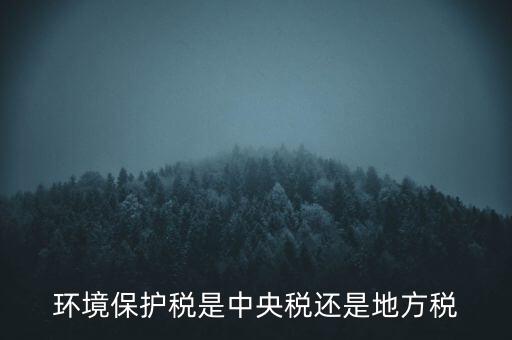 環(huán)境保護稅的機關是什么，環(huán)境保護稅由哪個機關負責征收