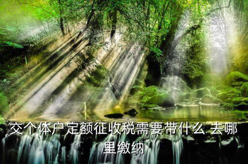 個(gè)體戶定額需要準(zhǔn)備什么，交個(gè)體戶定額征收稅需要帶什么 去哪里繳納