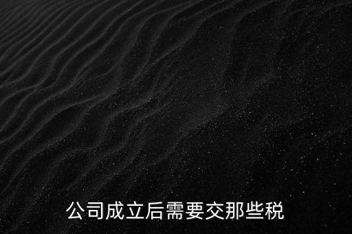 辦一個企業(yè)都需要交什么稅，公司成立后需要交那些稅