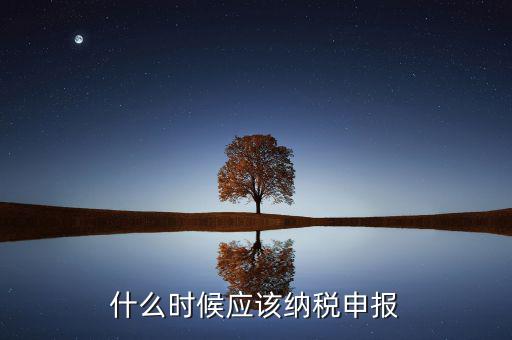 消費(fèi)稅什么時(shí)候申報(bào)，什么時(shí)候應(yīng)該納稅申報(bào)