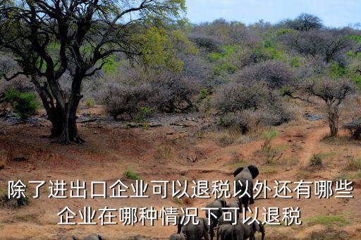 中國什么公司可以退稅，除了進出口企業(yè)可以退稅以外還有哪些企業(yè)在哪種情況下可以退稅