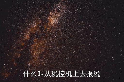 什么是稅控機的即時申報，稅控機申報記錄甚么意思