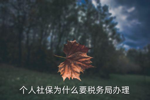 社會(huì)保險(xiǎn)繳納和稅務(wù)局什么關(guān)系，社保為什么要稅務(wù)部門征收