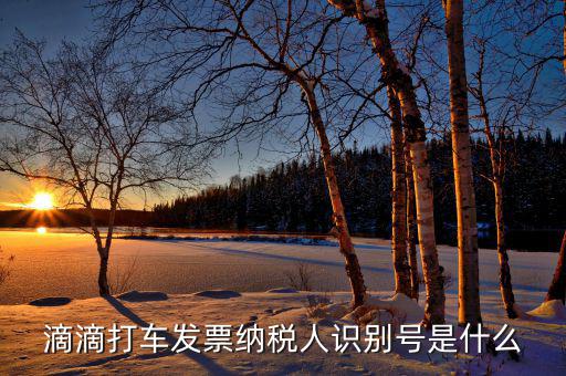 稅優(yōu)識(shí)別號(hào)是什么，滴滴打車(chē)發(fā)票納稅人識(shí)別號(hào)是什么