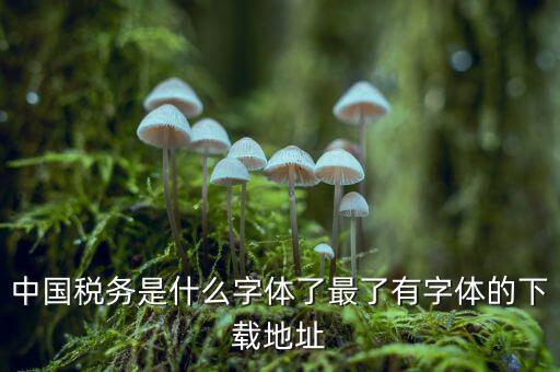 中國稅務是什么字體，中國稅務是什么字體了最了有字體的下載地址