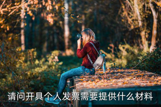 個人發(fā)票需要什么資料，個人購物開增值稅普通發(fā)票需要什么資料