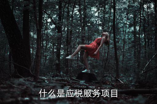 什么事納稅服務(wù)，什么是應(yīng)稅服務(wù)項(xiàng)目