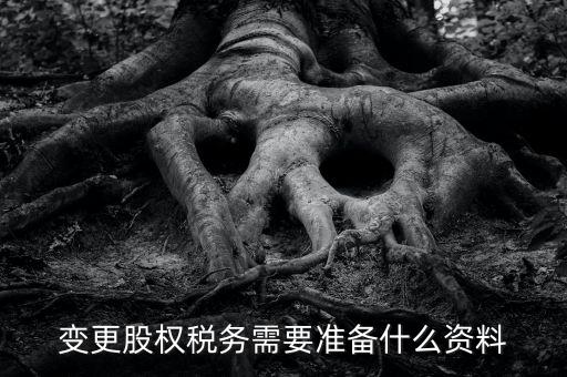 股權變更完稅憑證需要什么資料，變更股權稅務需要準備什么資料