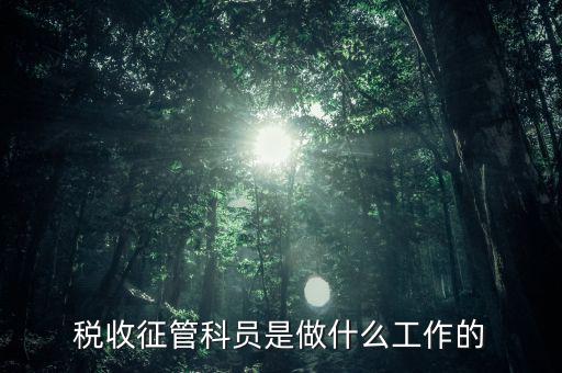 國稅局征管員和企業(yè)要做什么，稅收征管的公務(wù)員主要做什么工作