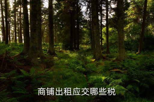 門面租賃稅是什么，商鋪出租應交哪些稅