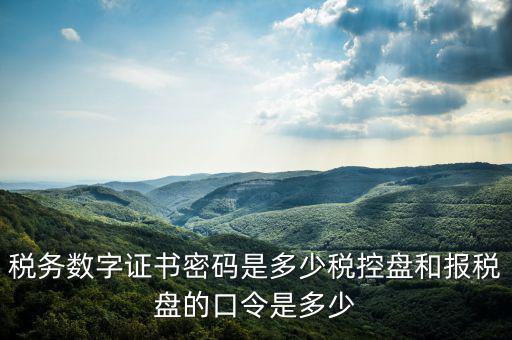 稅務(wù)數(shù)字證書(shū)密碼是多少稅控盤(pán)和報(bào)稅盤(pán)的口令是多少