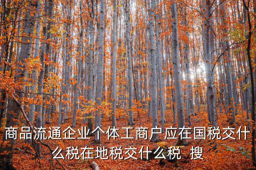 商品流通企業(yè)個體工商戶應在國稅交什么稅在地稅交什么稅  搜