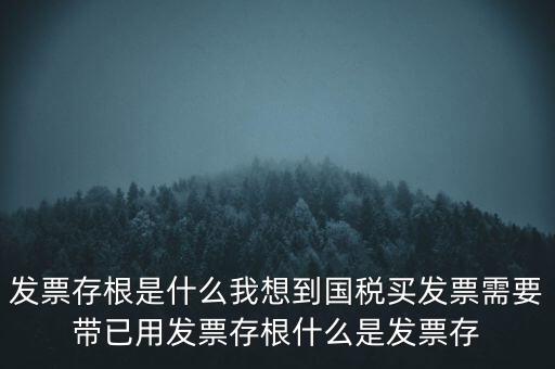 發(fā)票電子存根是什么，發(fā)票存根是什么