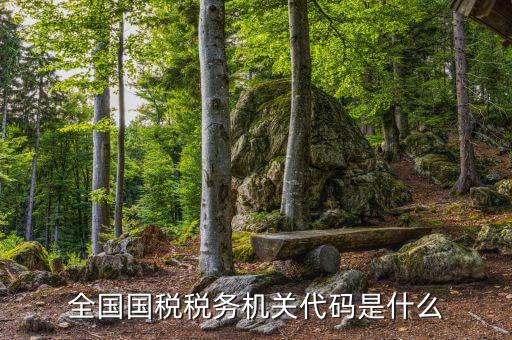 國稅的用戶代碼是什么，國稅局發(fā)票軟件里用戶代碼和密碼是什么