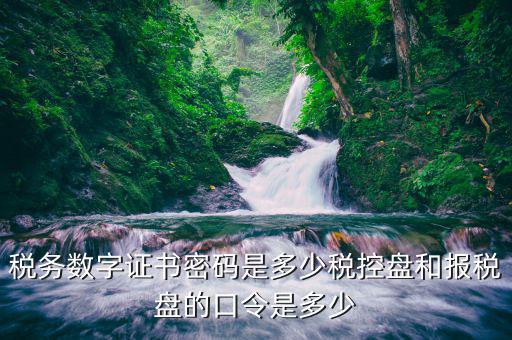 稅控盤稅務(wù)數(shù)字證書密碼是什么，稅控證書密碼是多少只有可能是8位嗎