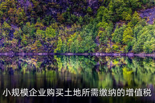 公司購買土地需要交什么稅，小規(guī)模企業(yè)購買土地所需繳納的增值稅