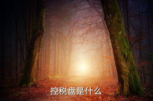 稅控盤是什么，稅控發(fā)票開票軟件 和金稅盤是什么意思