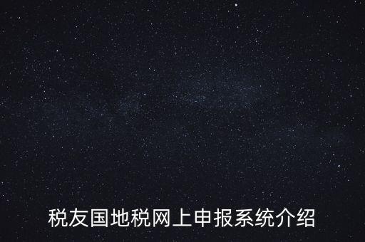 稅友國地稅網上申報系統(tǒng)介紹
