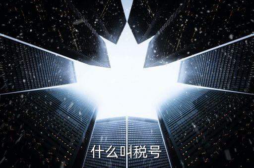 出口企業(yè)稅號是什么，什么叫稅號