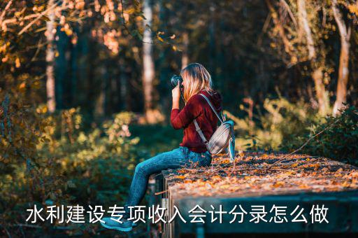 水利建設(shè)專項收入是什么，水利建設(shè)專項收入會計分錄怎么做
