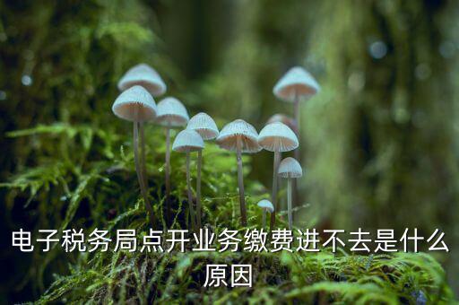 為什么江蘇省電子稅務(wù)局進不去，請問電子稅務(wù)局登不上去怎么回事