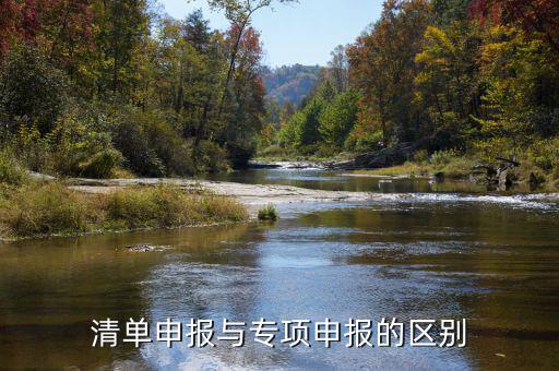 什么是清單申報(bào)，清單申報(bào)與專項(xiàng)申報(bào)的區(qū)別