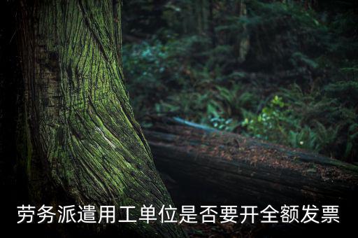 勞務(wù)派遣開(kāi)什么票，勞務(wù)派遣小時(shí)工發(fā)票怎么開(kāi)