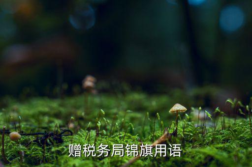送錦旗給稅局可以寫什么內(nèi)容，贈(zèng)稅務(wù)局錦旗用語