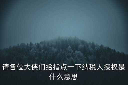 納稅人獲得感是什么意思，請(qǐng)各位大俠們給指點(diǎn)一下納稅人授權(quán)是什么意思