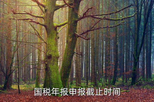 新疆國稅申報11月的什么時候結(jié)束，國稅年報申報截止時間