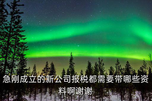 報稅要帶什么資料，增值稅報稅都要準備哪些資料