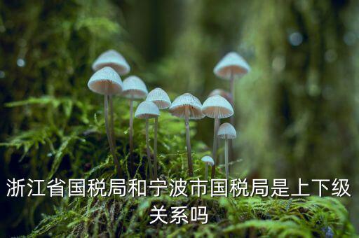 浙江省國稅局和寧波市國稅局是上下級關系嗎