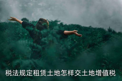 租用土地要交什么稅，土地租賃應該繳哪些稅收