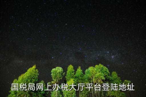 國稅網(wǎng)什么網(wǎng)站可以登錄，河北國稅網(wǎng)上辦稅服務(wù)廳用戶登錄地址