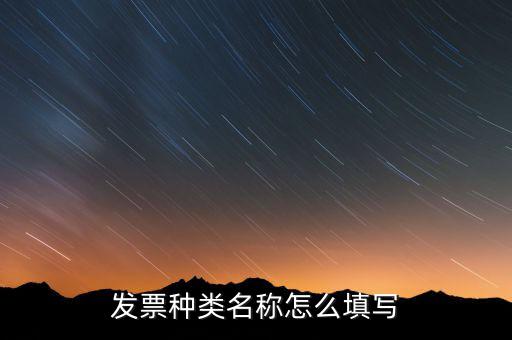 發(fā)票票種是填什么，發(fā)票類型號(hào)是什么啊