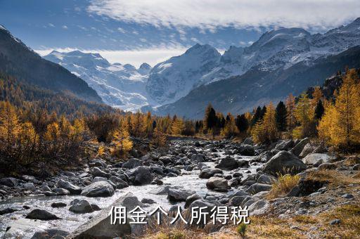 傭金繳納什么稅，傭金個人所得稅