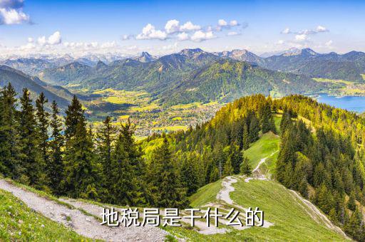 市地稅是做什么的，地稅是什么
