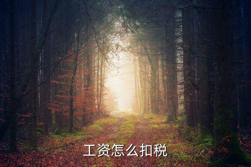 員工工資中的稅是按什么扣的，工資怎么扣稅