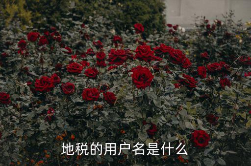 地稅登錄子賬號是什么，地稅的用戶名是什么