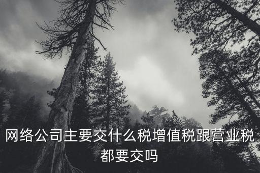 互聯(lián)網(wǎng)企業(yè)交什么稅，互聯(lián)網(wǎng)公司在稅收上有何政策