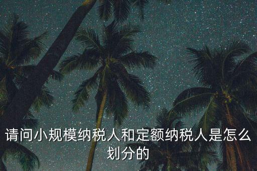 請(qǐng)問(wèn)小規(guī)模納稅人和定額納稅人是怎么劃分的