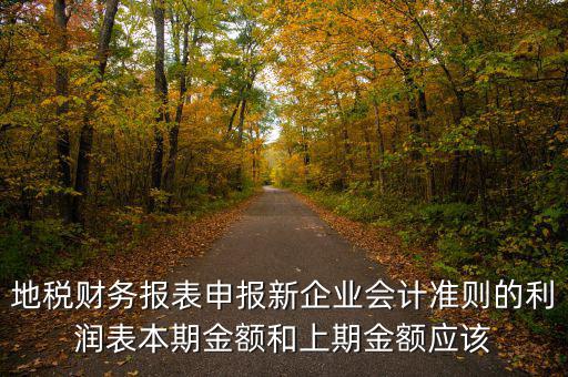 地稅利潤(rùn)表的上期金額指什么，新會(huì)計(jì)制度下利潤(rùn)表中本期金額和上期金額是什么意思