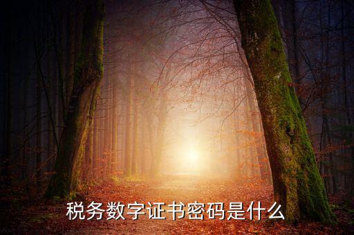 湖北地稅ca登錄密碼是什么意思，地稅CA證書(shū)如何解密碼
